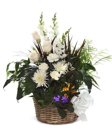 Large Dish Garden with Fresh Flower Cuts
