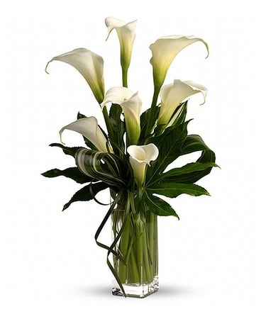 Tropical Flowers & Exotic Flower Bouquets in McLean VA, Bethesda Tropical Flowers & Exotic Flower Bouquets in McLean VA, Bethesda