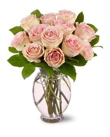 Teleflora's Delicate Dozen Flower Arrangement