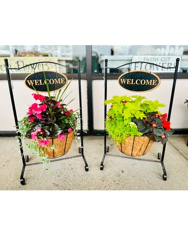 Welcome Planter Plant