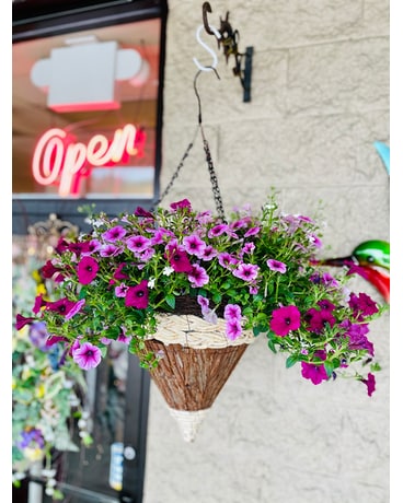 Blooming Hanging Cone Basket Plant