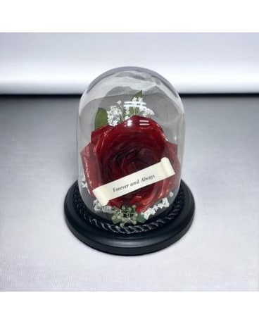 Forever Red Rose Dried Flowers