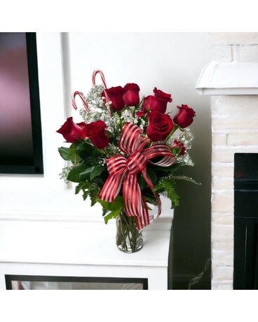 Candy Cane Dozen Flower Arrangement