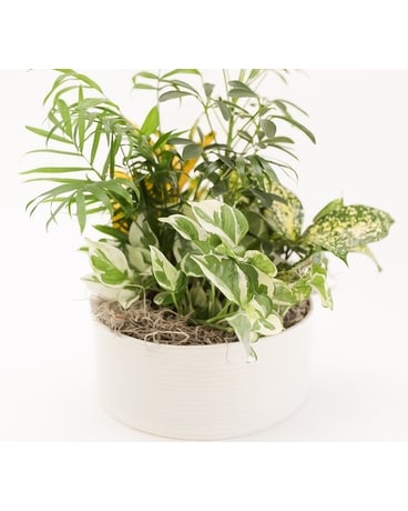 Tranquil Garden Flower Arrangement