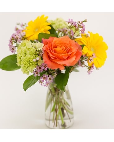 Ray of Sunshine Flower Arrangement