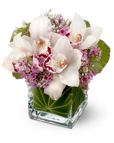 Lovely Orchids Flower Arrangement