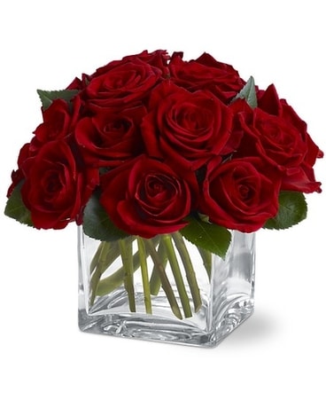 Agape Rose Contempo Flower Arrangement