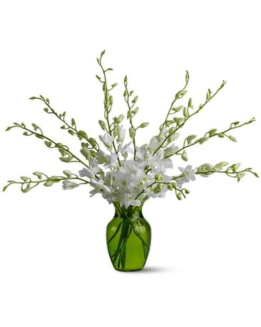 Regal Orchids Flower Arrangement