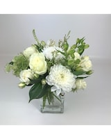 Lovely size,  inches height and  inches wide.