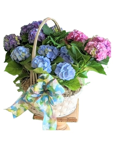 Tula's Hydrangea Basket Flower Arrangement