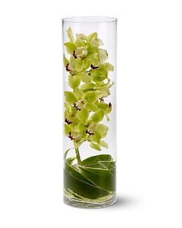 Modern Flowers Delivery Chicago Il Sauganash Zensational 80 95 Quick View Teleflora S Calla Clique Flower Arrangement