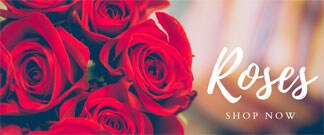 Flower Delivery to Boston by Exotic Flowers