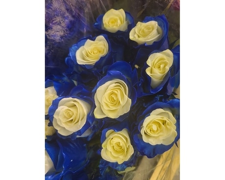 Jet Setter Roses Flower Arrangement