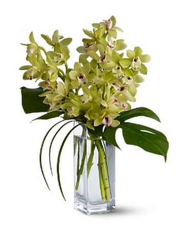 Orchid Elegance Flower Arrangement