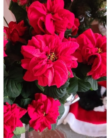 Winter Rose Poinsettia Flower Arrangement