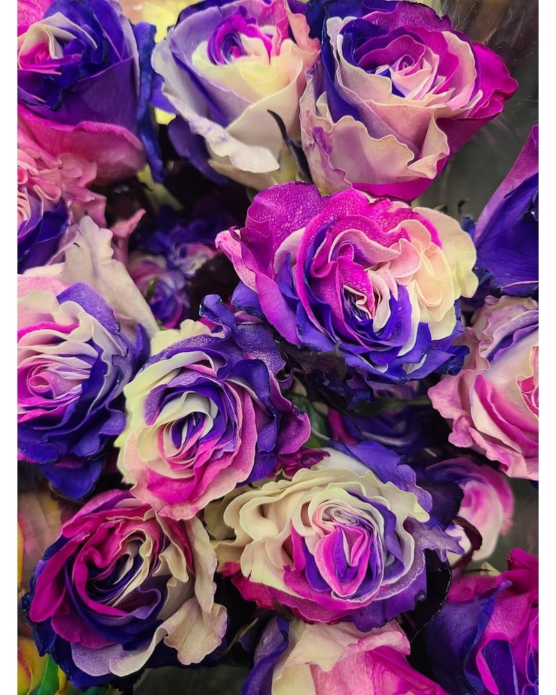 REO ROSE in Boston MA - Exotic Flowers