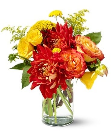 Teleflora's Dazzling Dahlias Flower Arrangement