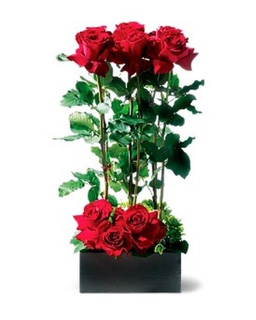 Scarlet Splendor Roses Flower Arrangement