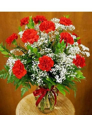 dozen red carnation bouquet
