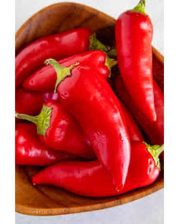 Hot Fresno Chili Pepper Plant