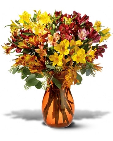 Alstroemeria Brights Flower Arrangement