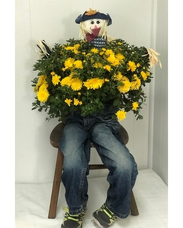 Mumkin Plant