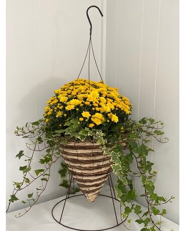 Mum & Ivy Plant