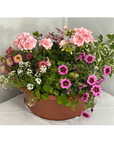 Small Patio Planter Plant