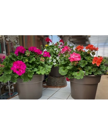 Patio Planter Custom product