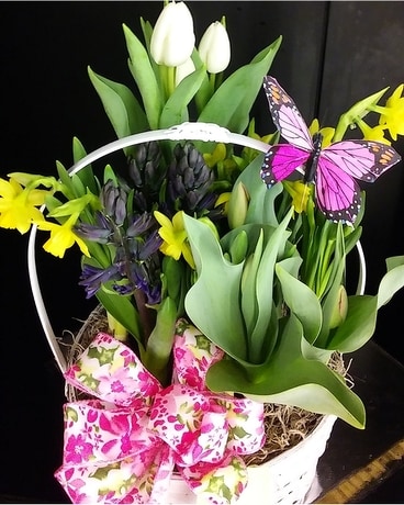 Spring Bulb Basket Flowers