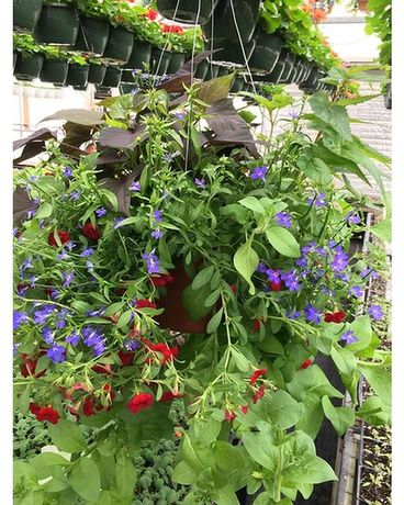 Cottage Basket Big and Beautiful Flower Arrangement