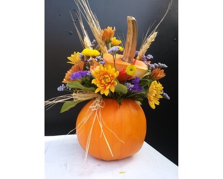 Fall Pumpkin Patch Arrangement Flower Arrangement