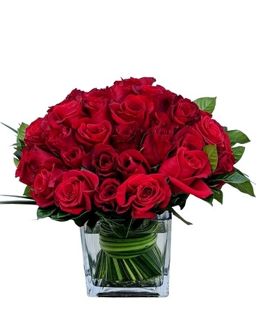 3 Dozen Red Roses Simply Hand Tied Flowers