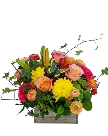 Spring Butterfly Garden Flower Arrangement
