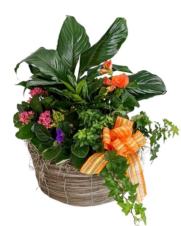 The Clementine European Garden Flower Arrangement