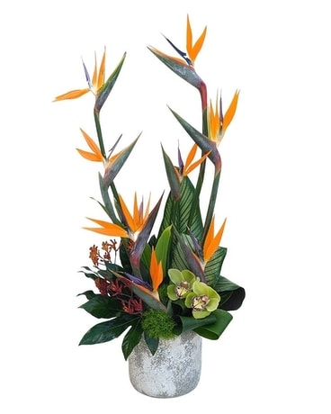 Maui Flower Arrangement