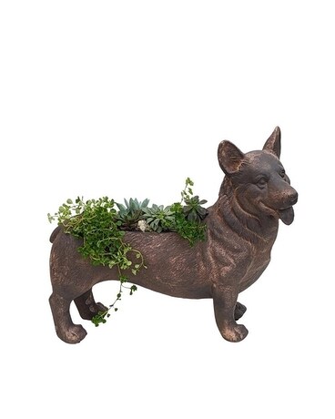 Corgi Planter with Succulents Plant