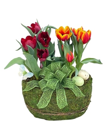 Spring Tulip Garden Flower Arrangement