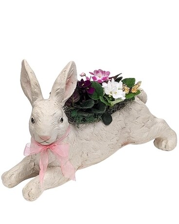 Assorted African Violet Plants in Ceramic Bunny Flower Arrangement