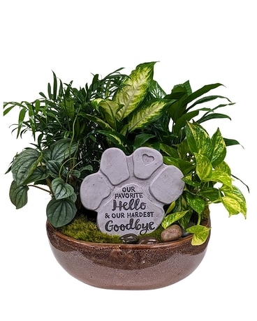 Beloved Pet Dish Garden Flower Arrangement