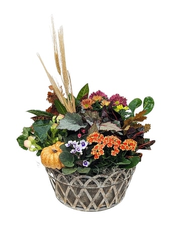 Rustic Harvest Blooming Garden Flower Arrangement