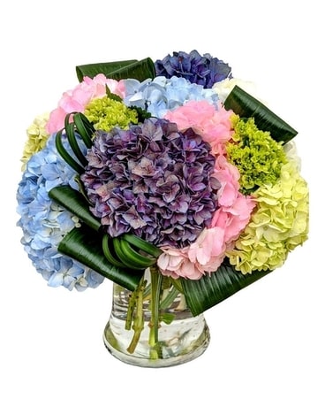 Mighty Hydrangea Premium Flower Arrangement