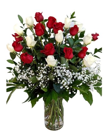 Love's Divine Red and White Roses Flowers
