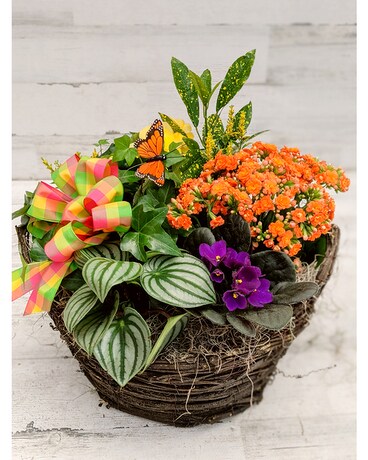 Blooming European Garden in Round Basket Plant