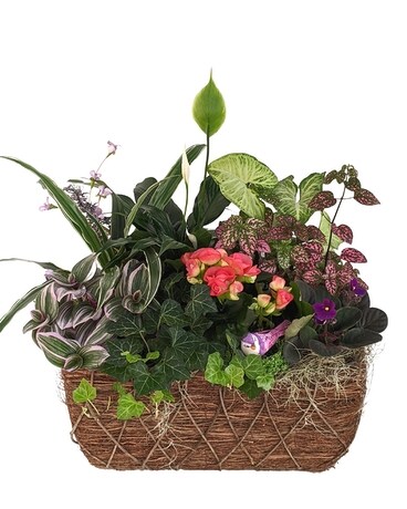 Large European Garden in Rectangular Basket Plant