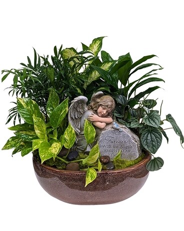 Forever Blessed Dish Garden Flower Arrangement