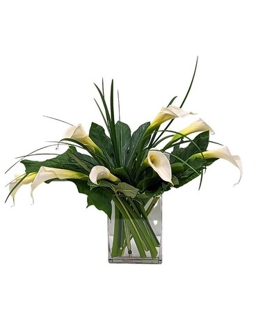 Classique Calla Lilies Flower Arrangement