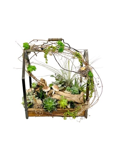 Fairytale Succulent Garden Flower Arrangement