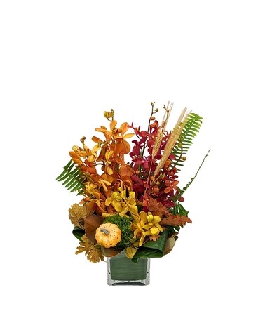 Vivacious Vandas Flower Arrangement