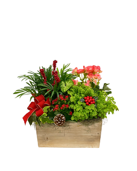 Holiday Blooming Garden Basket Arrangement